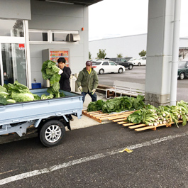 エーアイテック自社菜園