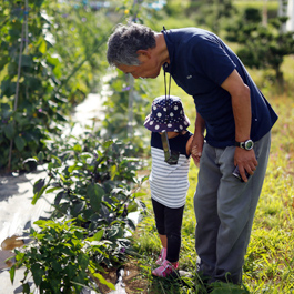エーアイテック自社菜園