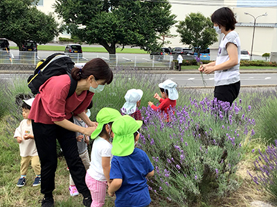 はやしやキッズガーデンの子供たちとラベンダー