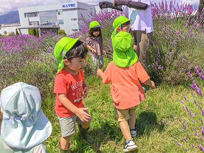 はやしやキッズガーデンの子供たちとラベンダー