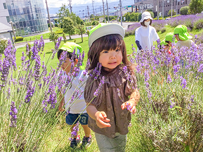 はやしやキッズガーデンの子供たちとラベンダー