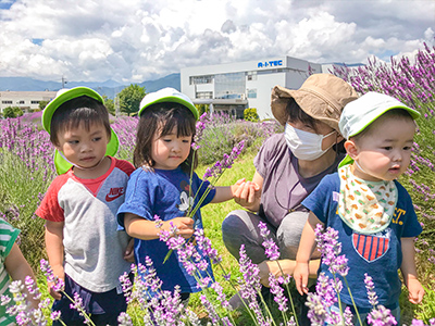 はやしやキッズガーデンの子供たちとラベンダー