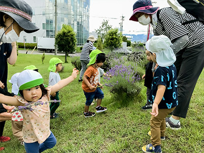 はやしやキッズガーデンの子供たちとラベンダー