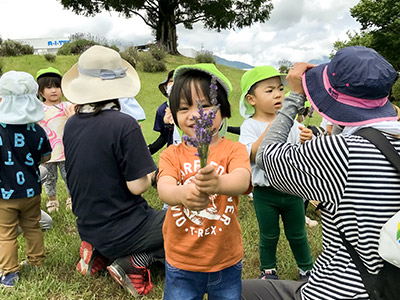 はやしやキッズガーデンの子供たちとラベンダー