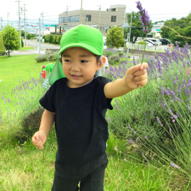 はやしやキッズガーデンの子供たちとラベンダー